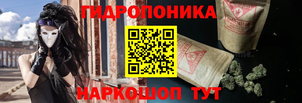 Шишки марихуана план Семёнов